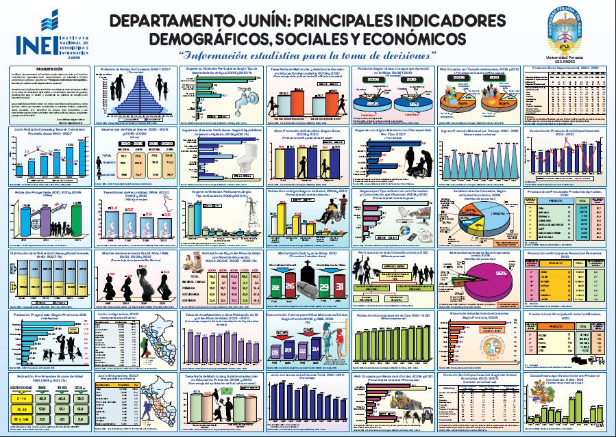 Realidad de Junín en lámina estadística