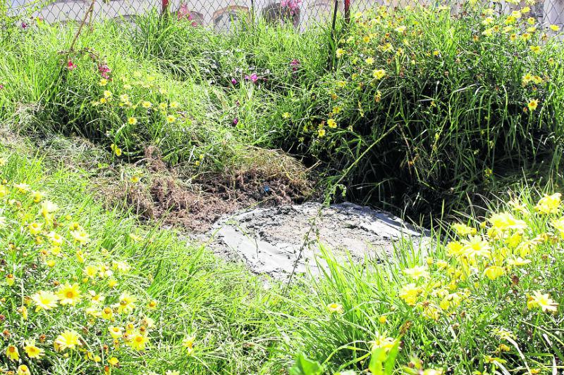 Lanzan a la fosa común 27 cadáveres  que nadie reclamó  