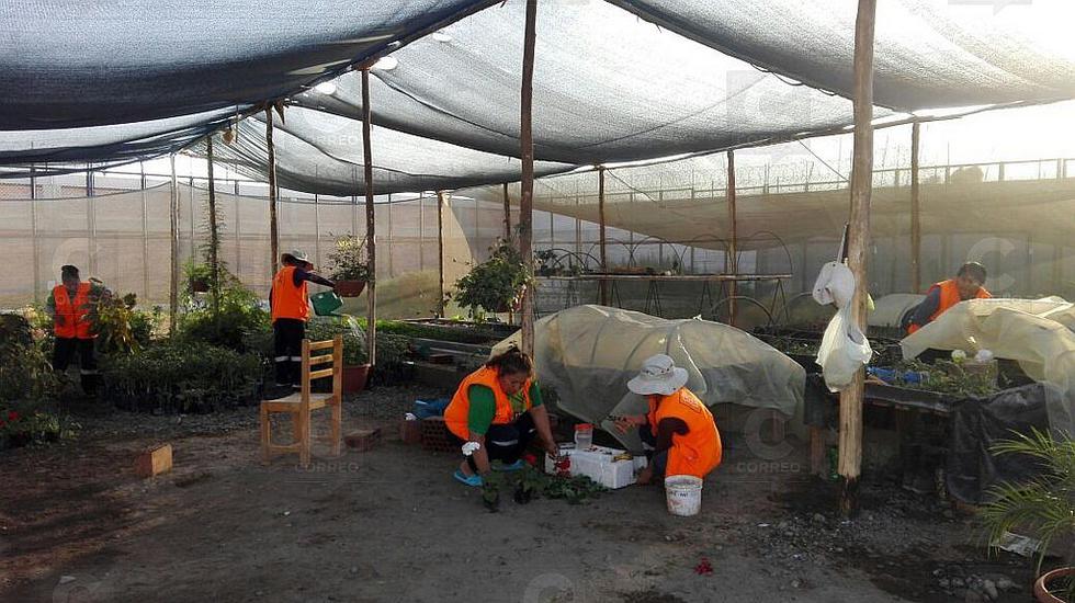 Internas generan recursos en talleres productivos