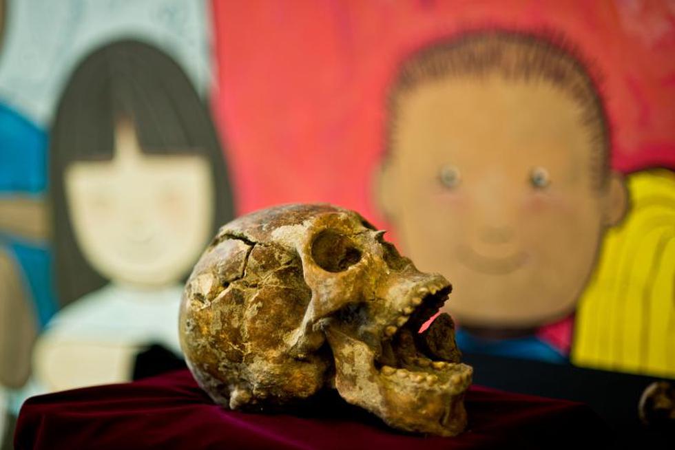 El Salvador: Descubren tres osamentas de al menos 1.600 años de antigüedad