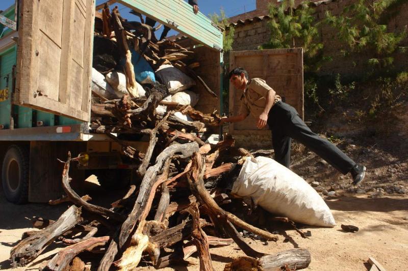 Decomisan 1496 rollizos de madera de eucalipto
