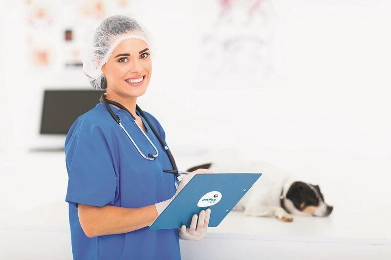 ​Implementan asistencias para perros en seguro de hogar