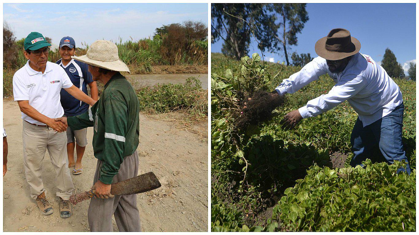 Huarmey: las acciones para rehabilitar la actividad agrícola tras desborde de río 