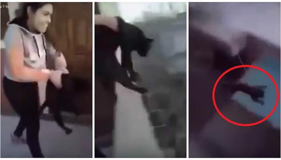 Facebook: Tiró al gato del cuarto piso para "ver si caía parada" y esto ocurrió (VIDEO)