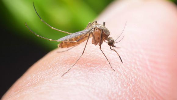 China desarrolla radares para combatir plagas de mosquitos para salvar vidas