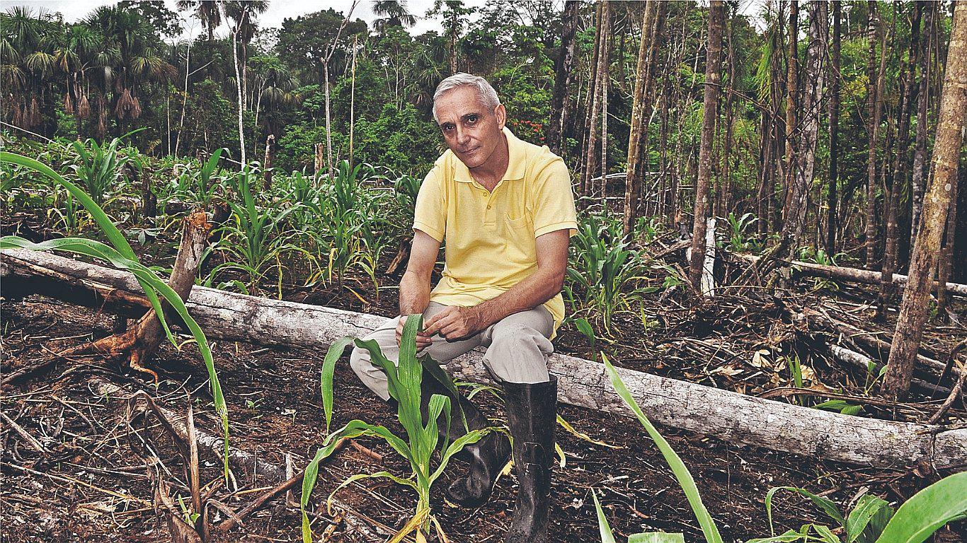 Enrique Lorente, empresario e investigador español: "Perú puede ser una potencia mundial de madera"