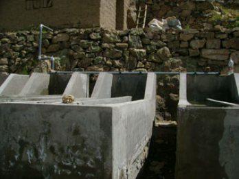 La trucha y el criadero de ovas