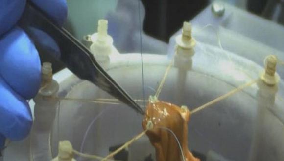 Robot autónomo efectúa operación de sutura en tejidos blandos