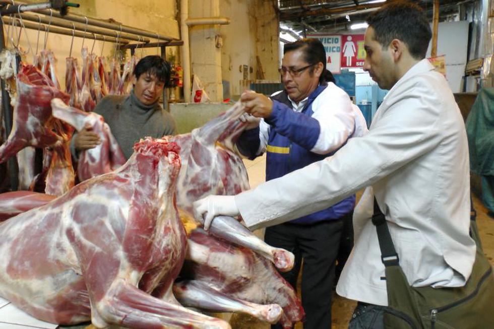 Incautan más de 100 kilos de carne de alpaca y llama con sarcocistosis