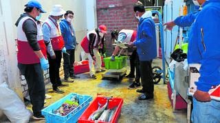 Encuentran 348 kilos de pescados y  mariscos en descomposición en Huancayo