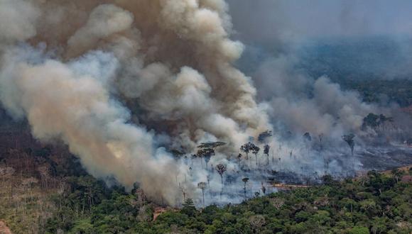 La pérdida de bosques, como lo que ocurre en la Amazonía, propicia infecciones y aumenta calentamiento global. (Foto: AFP)