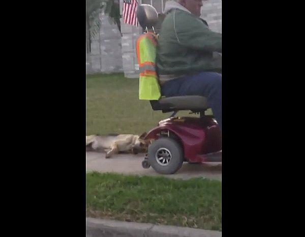 Facebook: ¡Condenable! Hombre arrastra a su perro con scooter motorizado (VIDEO)
