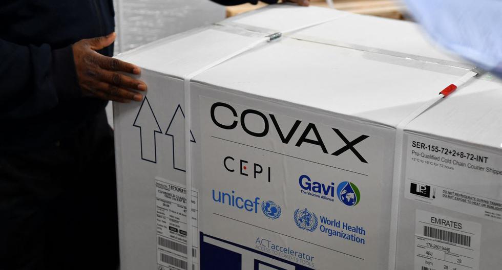 Imagen de las vacunas que son entregadas por el plan COVAX. (INDRANIL MUKHERJEE / AFP).