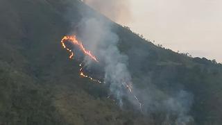 Chanchamayo: ​Incendio forestal  fue controlado a las 11:00 de la noche 