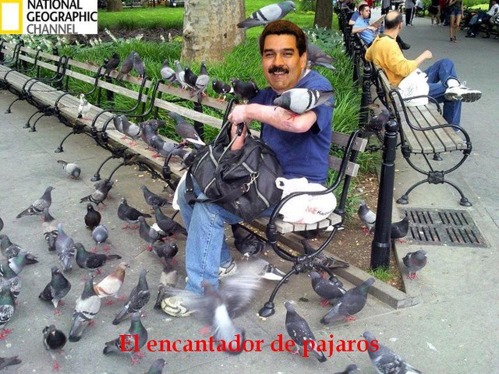 Memes sobre el pajarito que vio Maduro invaden las redes