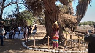 Nasca: develación de placa en honor a los huarangos milenarios en los Acueductos de Achaco