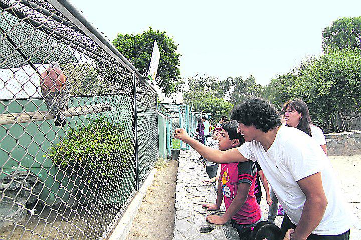 Entradas para recorrer el Mini Zoológico de Ica triplican su precio