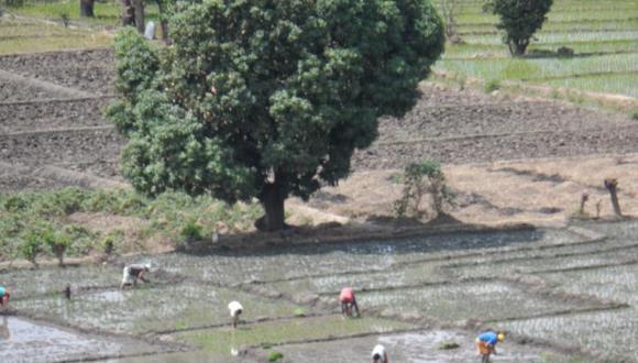 El Perú necesita reducir la brecha en infraestructura de riego, según experto. (FOTO: GEC)