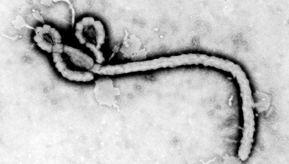 ¿Cuáles son los síntomas del ébola y cómo se transmite?