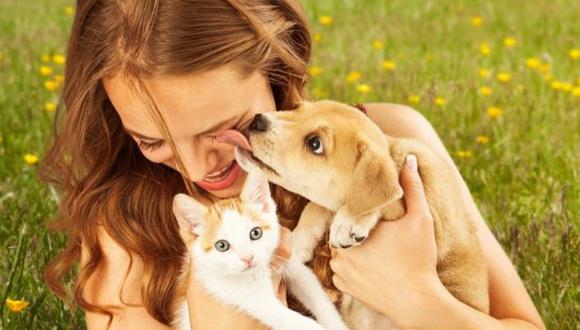 Besar a tus mascotas puede conllevar a tener problemas en el hígado, inflamación, entre otros malestares