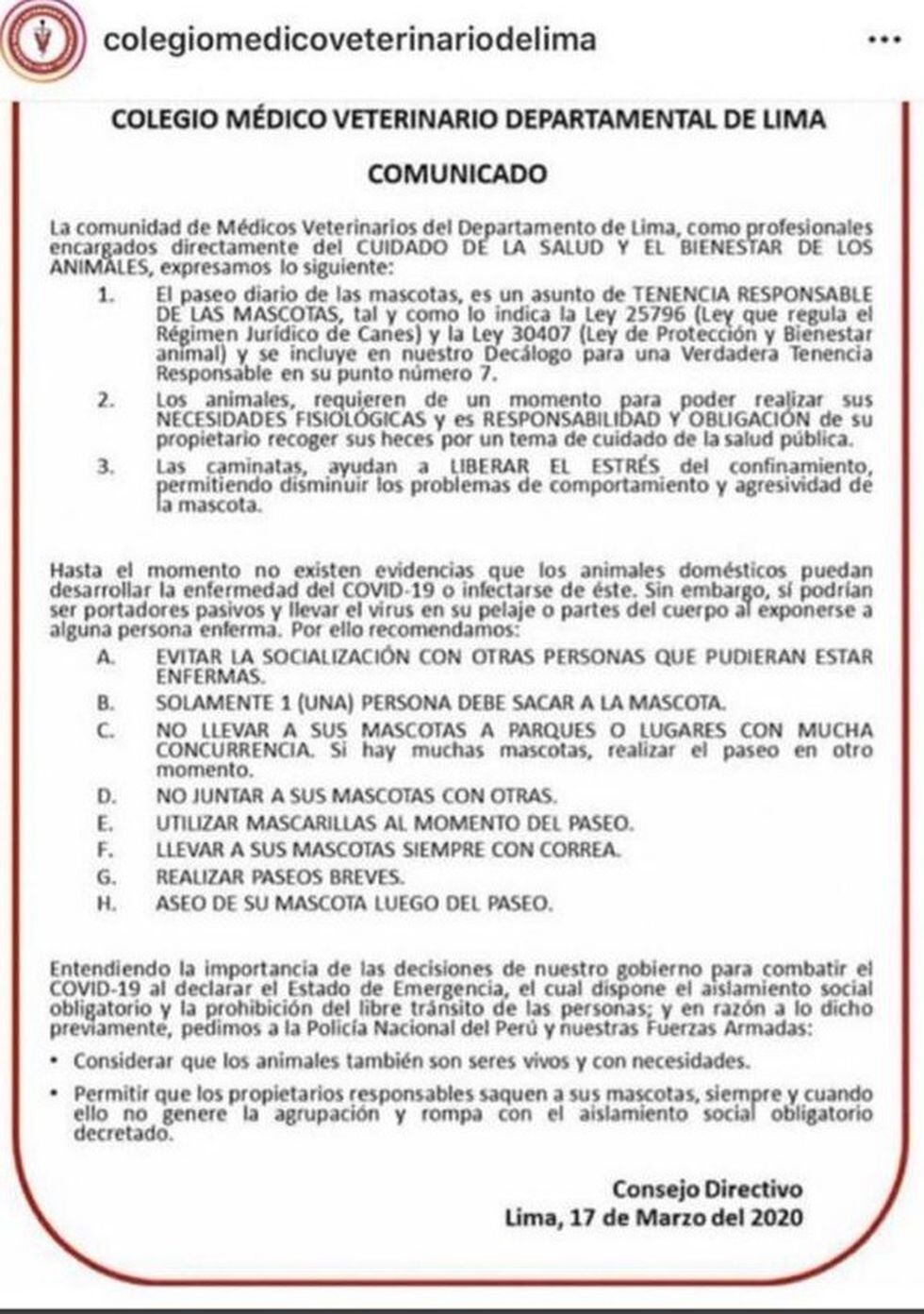 Mascotas pueden transmitir el coronavirus en sus pelajes si tuvieron contacto con alguna persona infectada