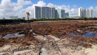 ​Cancún: 'Ecocidio' en el paraíso mexicano (VIDEO)