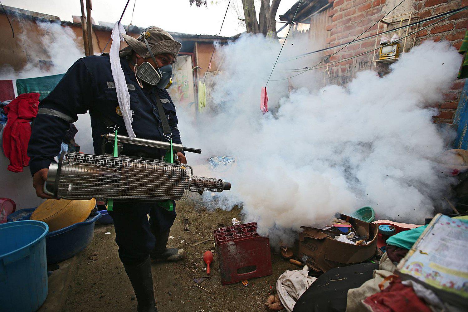 Piura: Refuerzan combate contra el dengue con campaña de control larvario