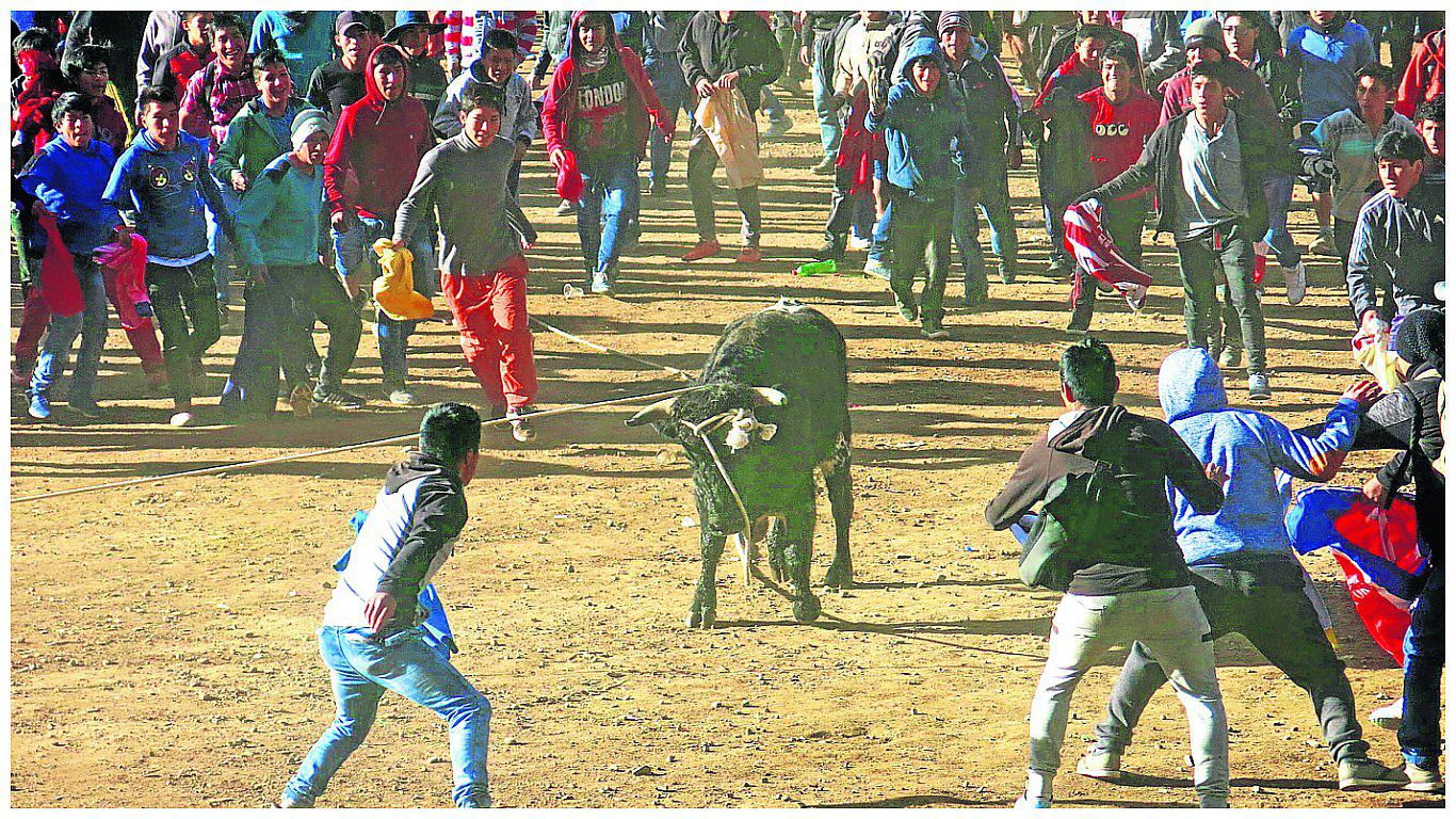 Huancavelica: 57 heridos casi al final de fiesta 'jala toro'