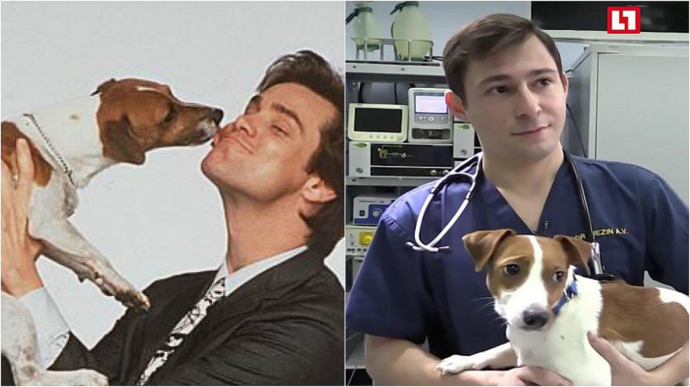 La Máscara: Familia operó a su perro para que se parezca a Milo