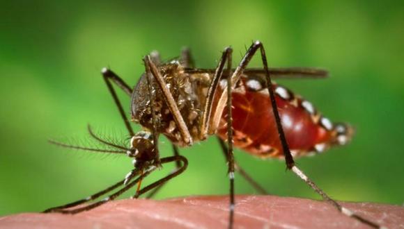 La Libertad: Emiten recomendaciones a turistas contra dengue 