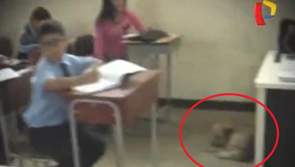 ​¡Insólito! Comas: niños estudian en aulas junto a perros y gatos (VIDEO)