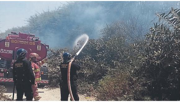 Serenazgo y bomberos logran aplacar un incendio forestal en Paita 