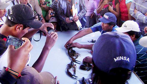 Moquegua: Así se realizará el "Festival del Camarón Omateño 2016"