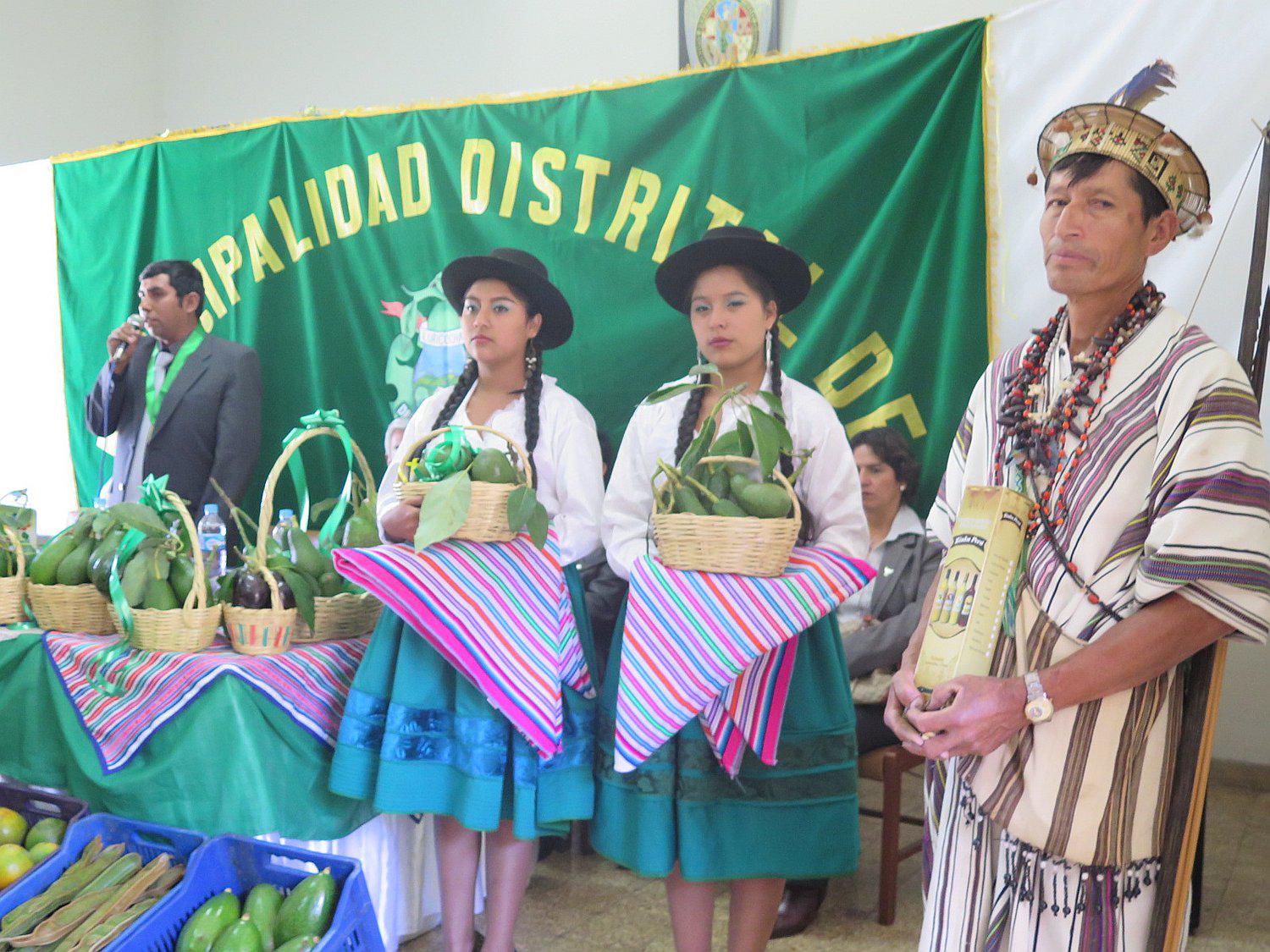 Expondrán la mejor producción de palta del distrito de Luricocha