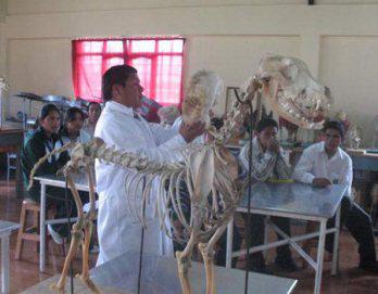 Escuela de medicina
 veterinaria organiza
 ferias académicas