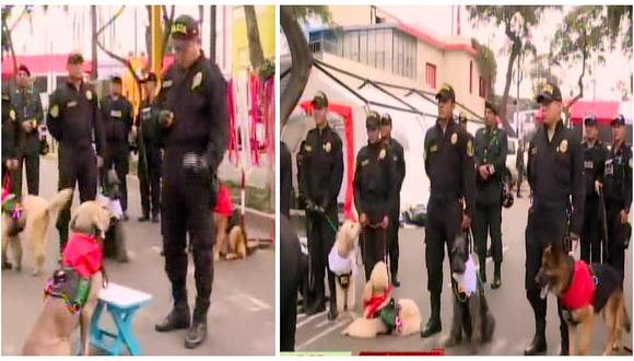 Policía Canina no desfilará este año en la Parada Militar por Fiestas Patrias (VIDEO)
