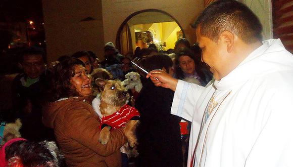 Moquegua: Mascotas de Ilo serán bendecidas en parroquias