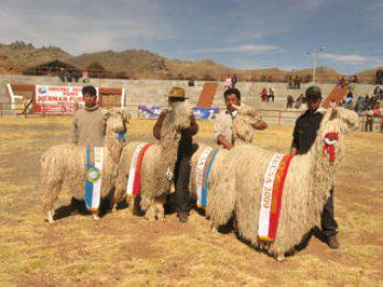 Destinan 160 mil soles para FECASAM