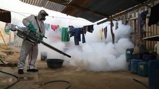 Ica: En 22 distritos de la región, se reportan casos de dengue