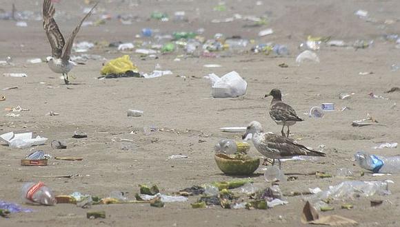 Diecisiete de 19 playas de Tacna son insalubres  según la última inspección 