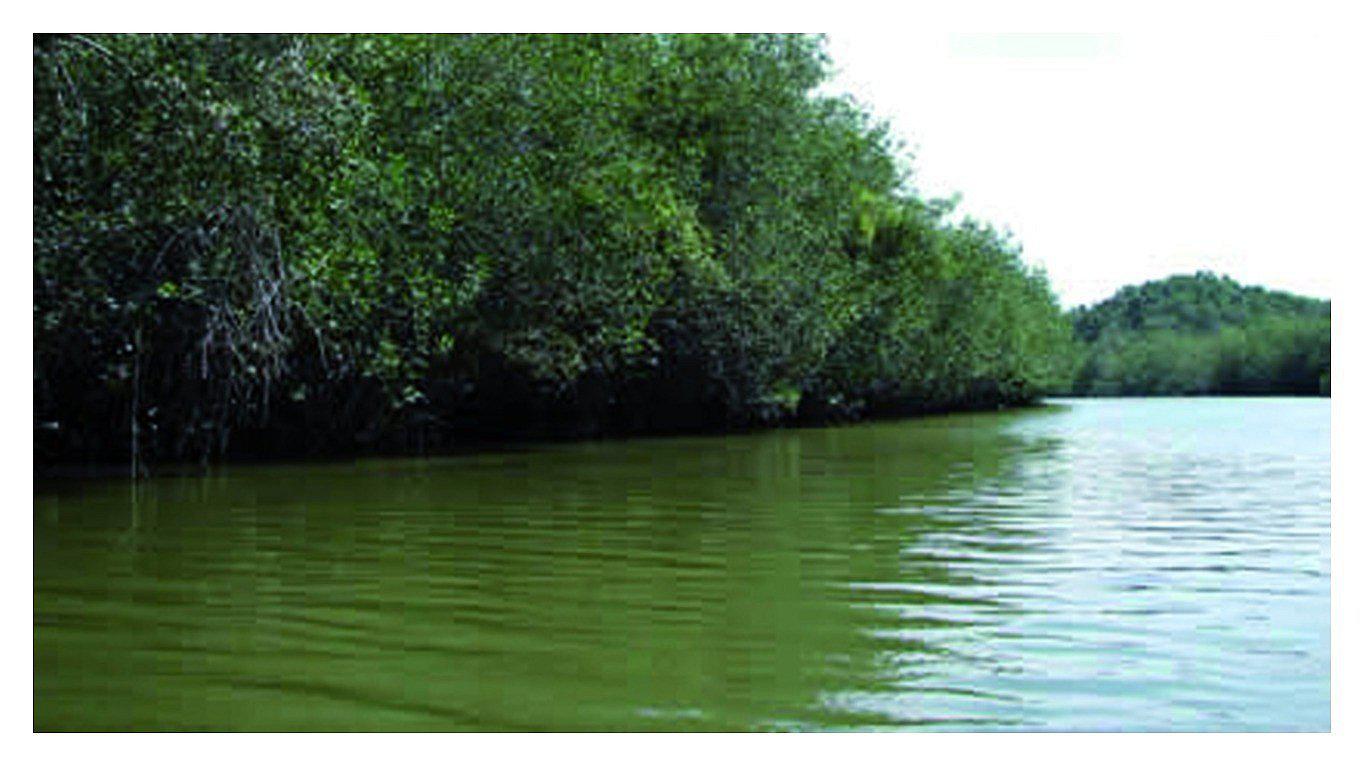 Ríos Tumbes y Zarumilla incrementan su caudal debido a lluvias