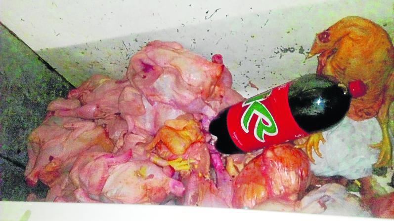 Vendedores de pollos y carne atentan contra la salud pública