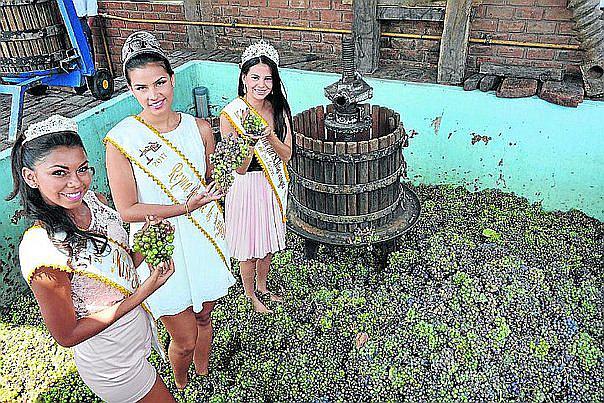 La Libertad lidera producción de puro de uva en el norte del país