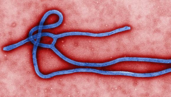 OMS confirma que dos vacunas experimentales contra el ébola son seguras
