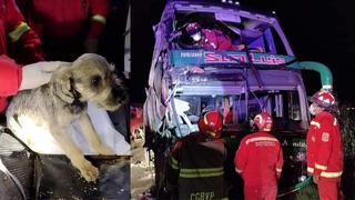 Bus de dos pisos choca con traíler estacionado dejando dos muertos en Cusco