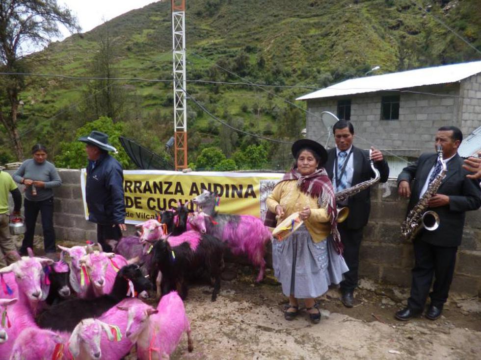 Pasco: Comunidades celebran Herranza Andina 