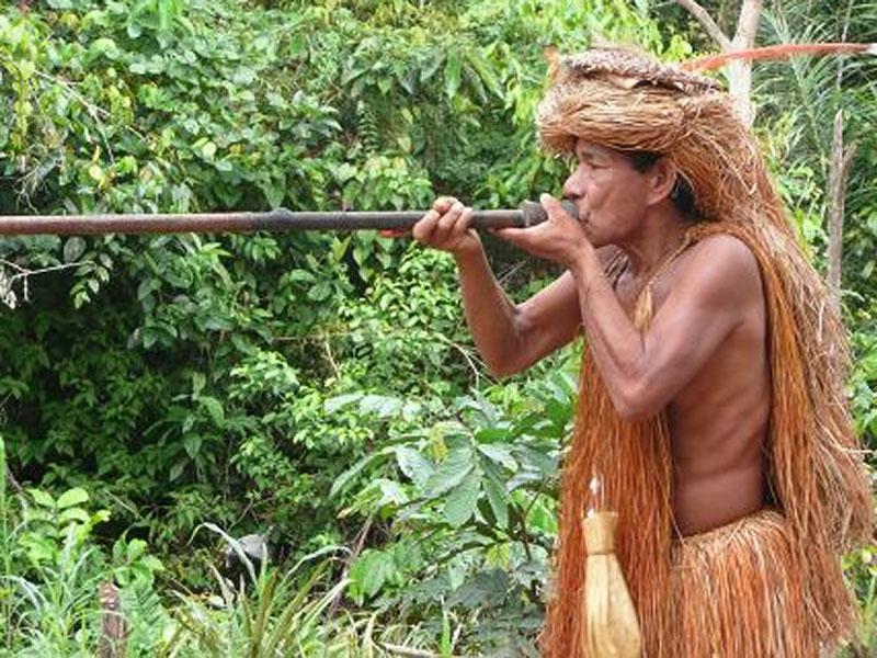 Tribus no contactadas de Perú, en peligro por las fiebres de la civilización
