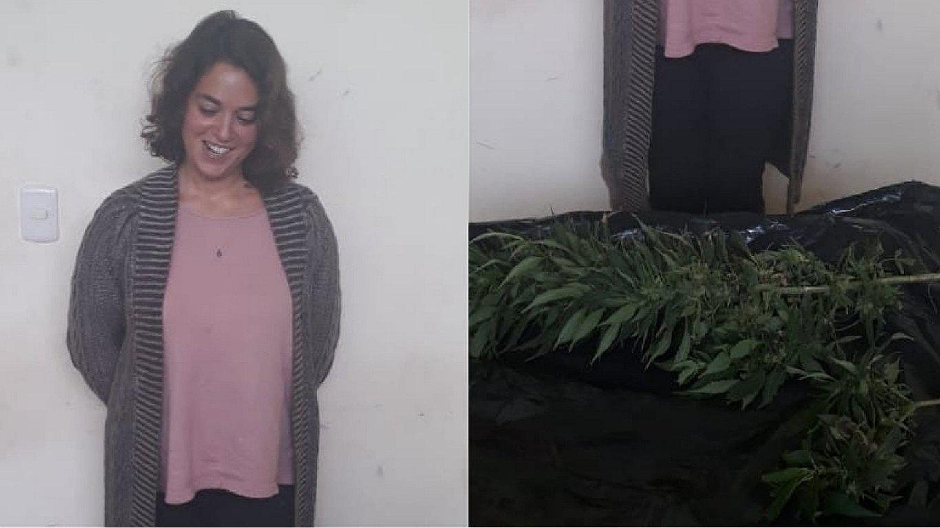 Intervienen vivienda de ciudadana sueca y hallan plantones de marihuana