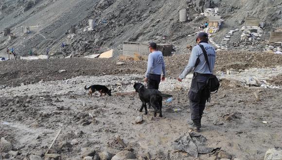 Canes apoyan en labores de búsqueda en Secocha y otras zonas. (Foto: GEC)