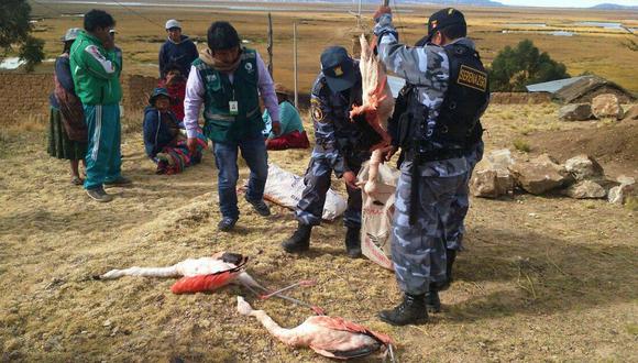 PUNO: hallan 12 parihuanas muertas cerca de los Uros  